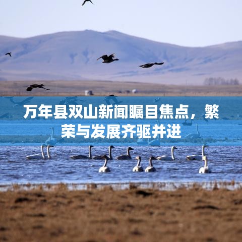 萬年縣雙山新聞矚目焦點(diǎn)，繁榮與發(fā)展齊驅(qū)并進(jìn)