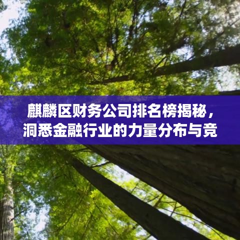 麒麟?yún)^(qū)財務(wù)公司排名榜揭秘，洞悉金融行業(yè)的力量分布與競爭格局