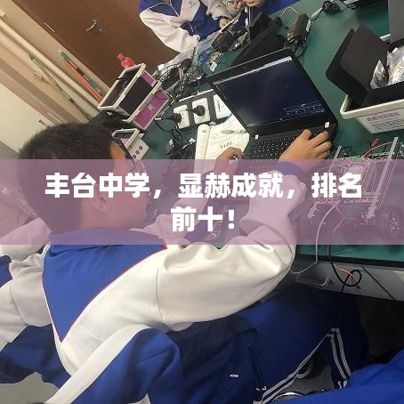 豐臺(tái)中學(xué)，顯赫成就，排名前十！