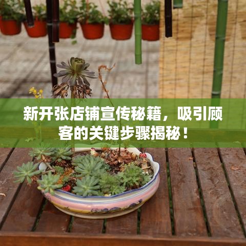 新開(kāi)張店鋪宣傳秘籍，吸引顧客的關(guān)鍵步驟揭秘！