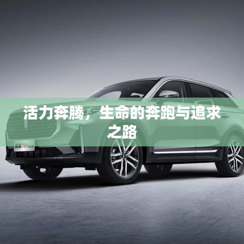 活力奔騰，生命的奔跑與追求之路