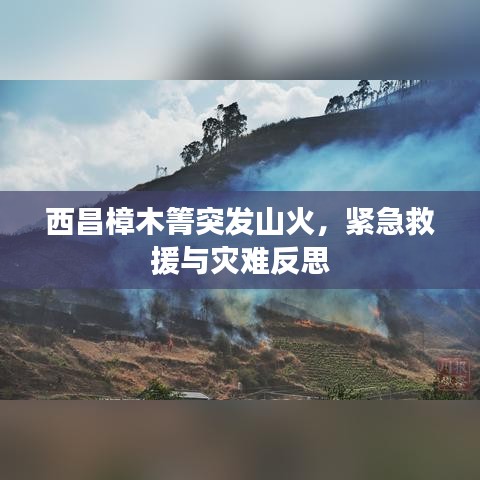 西昌樟木箐突發(fā)山火，緊急救援與災(zāi)難反思