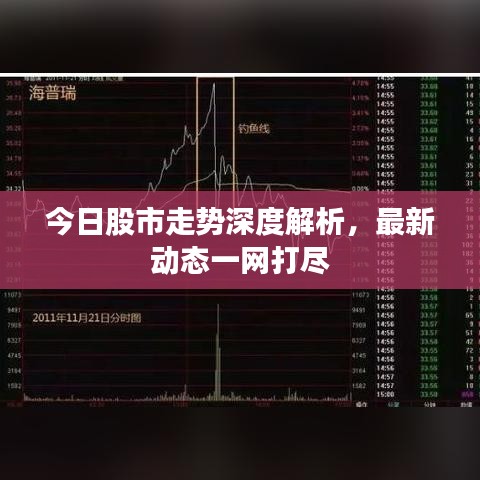 今日股市走勢深度解析，最新動態(tài)一網打盡