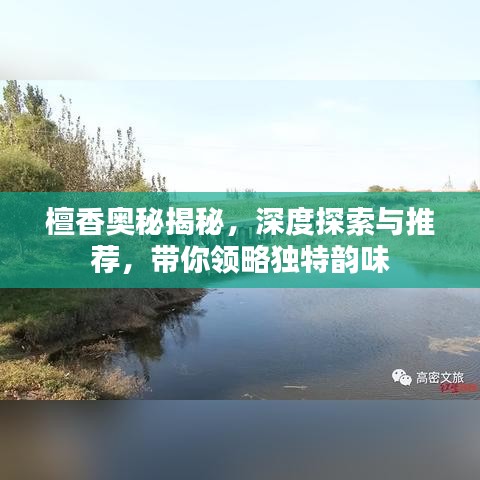 臼灶生蛙 第3頁(yè)