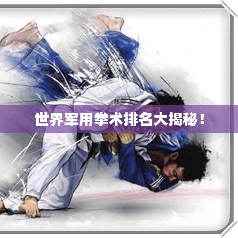 世界軍用拳術(shù)排名大揭秘！