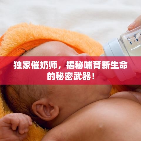 獨家催奶師，揭秘哺育新生命的秘密武器！