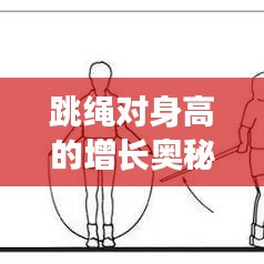 跳繩對(duì)身高的增長(zhǎng)奧秘，科學(xué)運(yùn)動(dòng)助力身高飛躍發(fā)展！