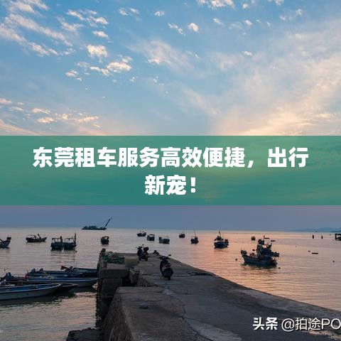 東莞租車服務(wù)高效便捷，出行新寵！