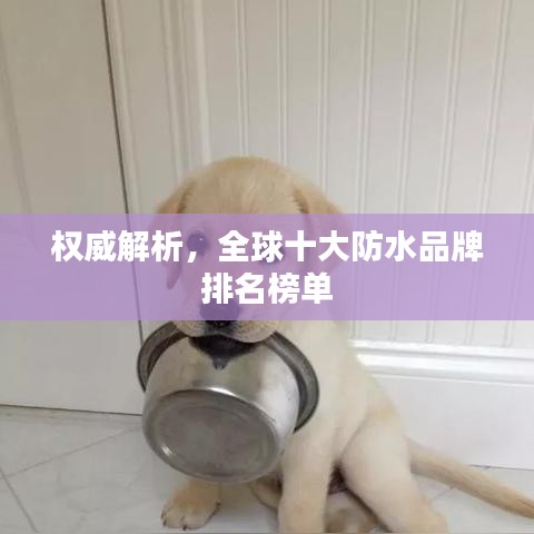 權(quán)威解析，全球十大防水品牌排名榜單