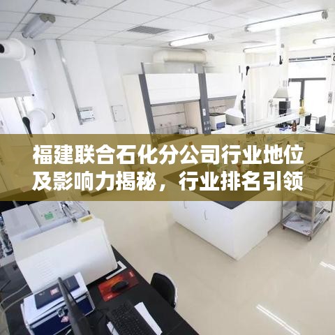 福建聯(lián)合石化分公司行業(yè)地位及影響力揭秘，行業(yè)排名引領(lǐng)石化風(fēng)潮