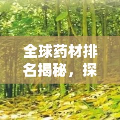 全球藥材排名揭秘，探究藥材的重要性