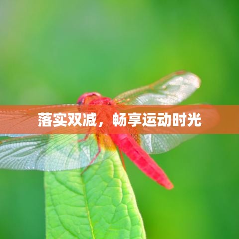 落實雙減，暢享運動時光