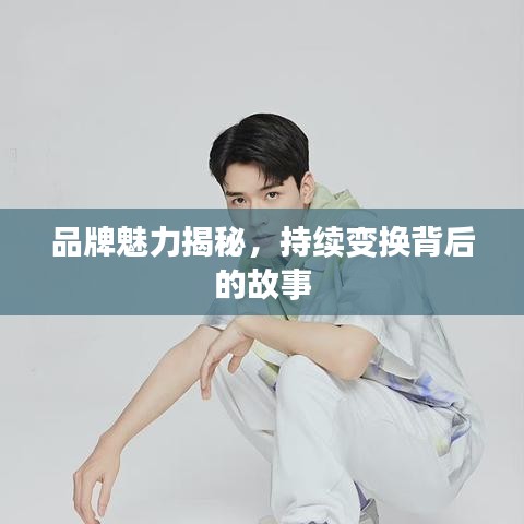 品牌魅力揭秘，持續(xù)變換背后的故事