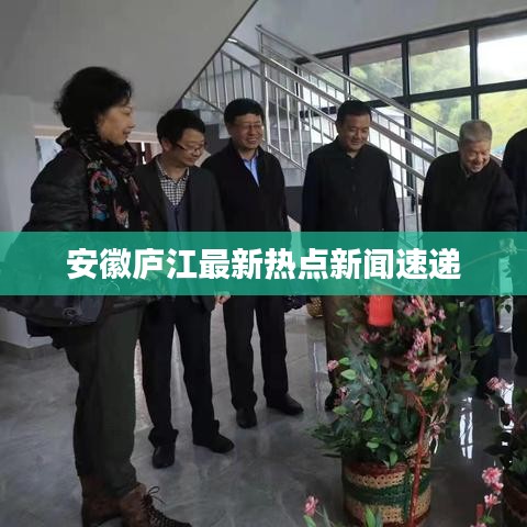 安徽廬江最新熱點新聞速遞