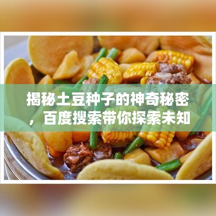 揭秘土豆種子的神奇秘密，百度搜索帶你探索未知世界