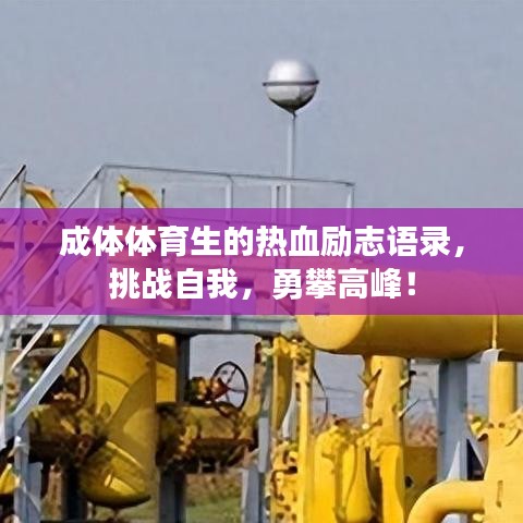 成體體育生的熱血?jiǎng)?lì)志語錄，挑戰(zhàn)自我，勇攀高峰！