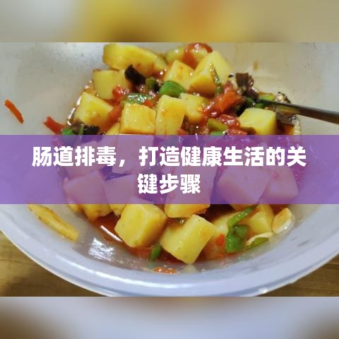 腸道排毒，打造健康生活的關(guān)鍵步驟