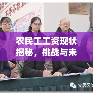 農(nóng)民工工資現(xiàn)狀揭秘，挑戰(zhàn)與未來展望，百度權威解讀！