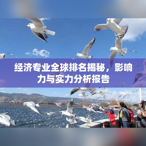 經濟專業(yè)全球排名揭秘，影響力與實力分析報告