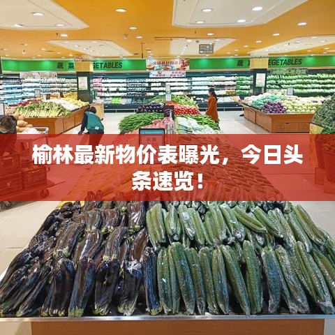 榆林最新物價表曝光，今日頭條速覽！