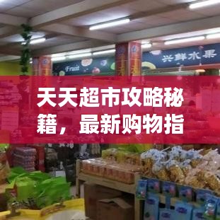 天天超市攻略秘籍，最新購物指南一網(wǎng)打盡！