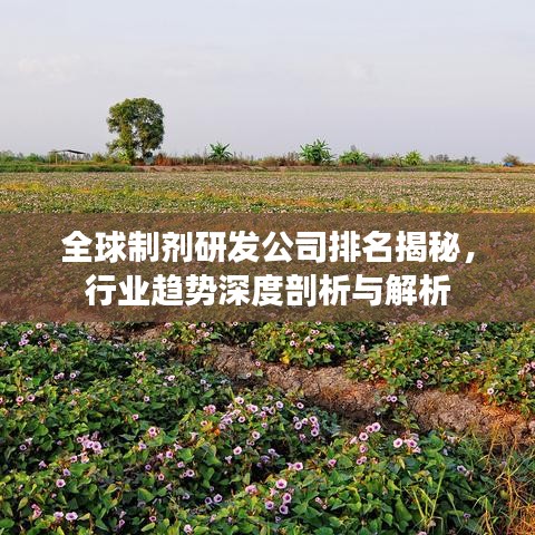 全球制劑研發(fā)公司排名揭秘，行業(yè)趨勢深度剖析與解析