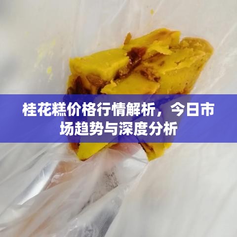 桂花糕價格行情解析，今日市場趨勢與深度分析