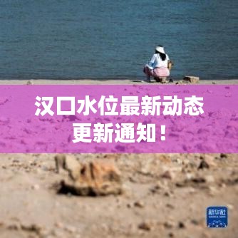 漢口水位最新動(dòng)態(tài)更新通知！