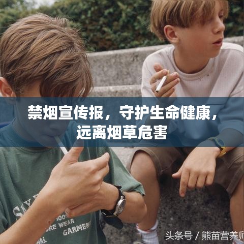 禁煙宣傳報，守護生命健康，遠離煙草危害