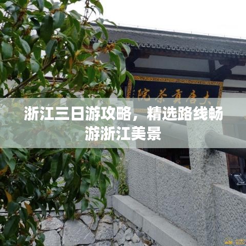 嬌小玲瓏 第3頁(yè)