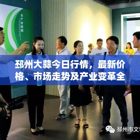 邳州大蒜今日行情，最新價(jià)格、市場(chǎng)走勢(shì)及產(chǎn)業(yè)變革全解析