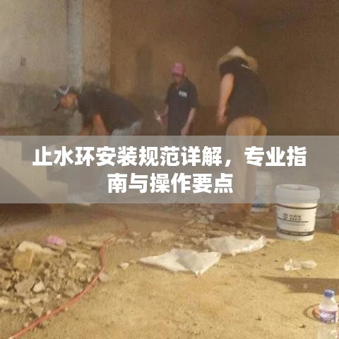 止水環(huán)安裝規(guī)范詳解，專業(yè)指南與操作要點
