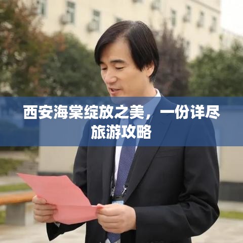 西安海棠綻放之美，一份詳盡旅游攻略