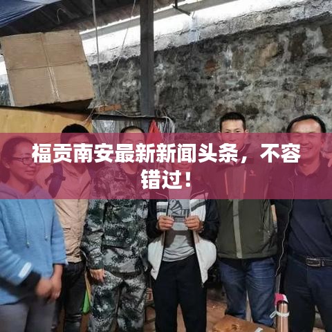 福貢南安最新新聞頭條，不容錯過！