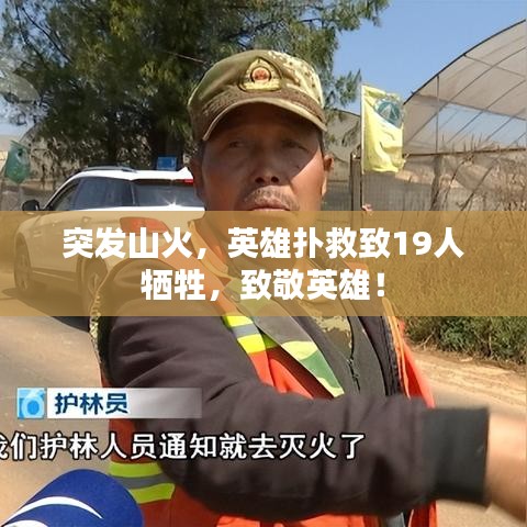 突發(fā)山火，英雄撲救致19人犧牲，致敬英雄！