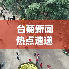 臺菊新聞熱點速遞，最新頭條報道搶先看！