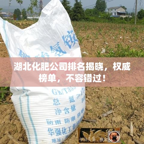 湖北化肥公司排名揭曉，權(quán)威榜單，不容錯過！