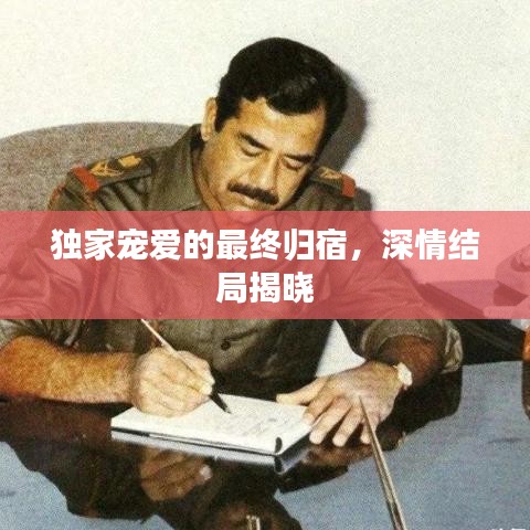 獨(dú)家寵愛的最終歸宿，深情結(jié)局揭曉
