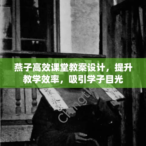 燕子高效課堂教案設(shè)計(jì)，提升教學(xué)效率，吸引學(xué)子目光