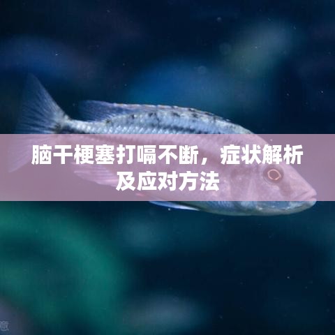 腦干梗塞打嗝不斷，癥狀解析及應(yīng)對方法