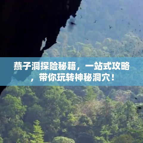 豐容盛鬋 第2頁