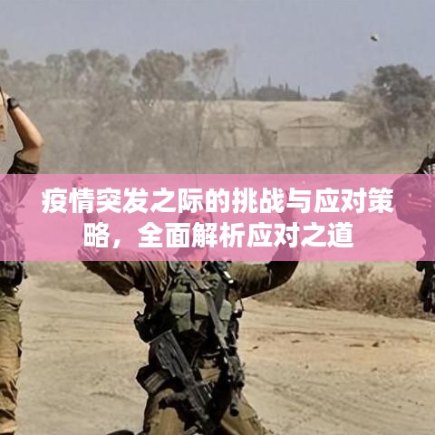 疫情突發(fā)之際的挑戰(zhàn)與應(yīng)對(duì)策略，全面解析應(yīng)對(duì)之道