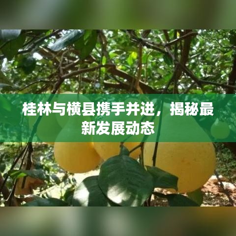 桂林與橫縣攜手并進(jìn)，揭秘最新發(fā)展動態(tài)