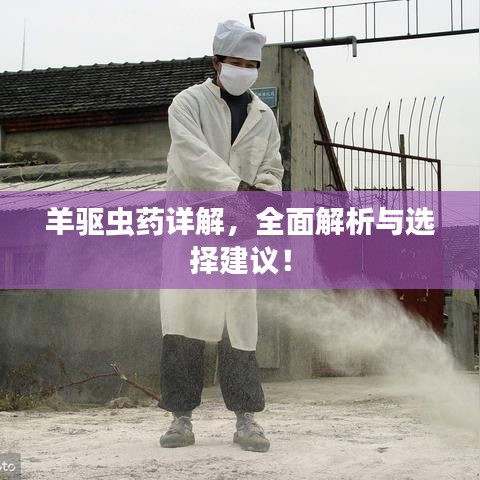 羊驅蟲藥詳解，全面解析與選擇建議！