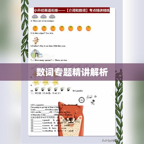 數(shù)詞專題精講解析