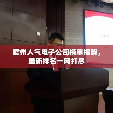 贛州人氣電子公司榜單揭曉，最新排名一網(wǎng)打盡
