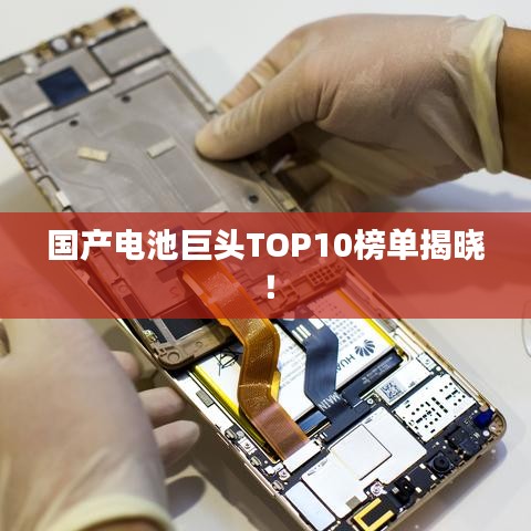 國產(chǎn)電池巨頭TOP10榜單揭曉！