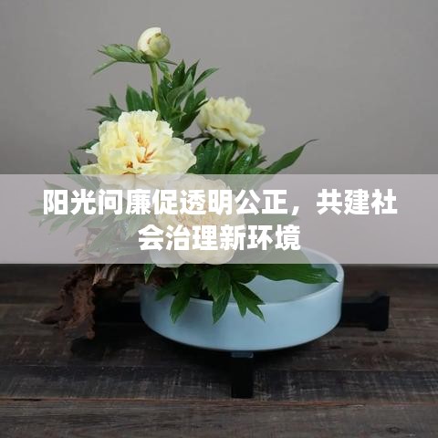 陽光問廉促透明公正，共建社會治理新環(huán)境