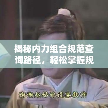 揭秘內(nèi)力組合規(guī)范查詢路徑，輕松掌握規(guī)范信息