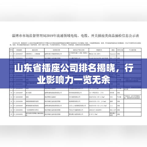山東省插座公司排名揭曉，行業(yè)影響力一覽無余